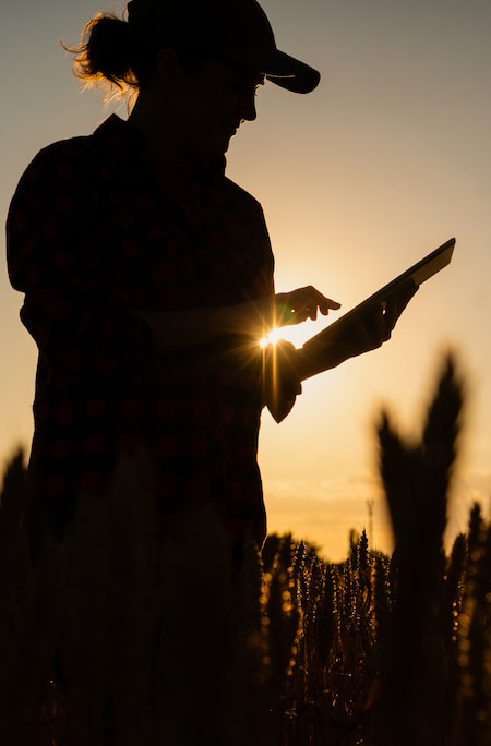 Farmer analysing data on crops growth